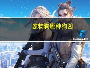 宠物狗哪种狗凶