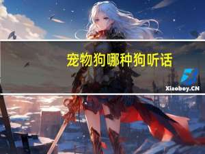 宠物狗哪种狗听话