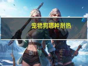 宠物狗哪种耐热