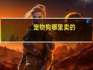 宠物狗哪里卖的