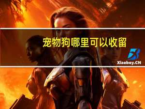 宠物狗哪里可以收留