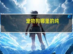 宠物狗哪里的纯