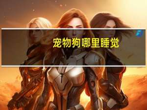 宠物狗哪里睡觉