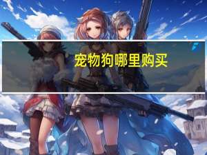宠物狗哪里购买