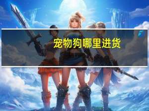 宠物狗哪里进货