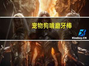 宠物狗啃磨牙棒
