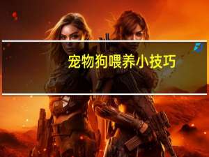 宠物狗喂养小技巧