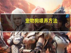宠物狗喂养方法