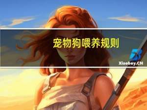 宠物狗喂养规则