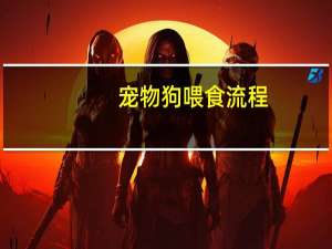 宠物狗喂食流程