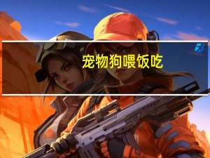 宠物狗喂饭吃
