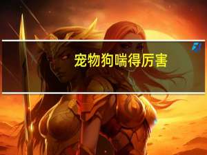 宠物狗喘得厉害