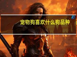 宠物狗喜欢什么狗品种