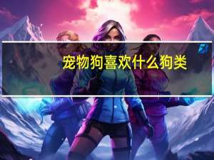 宠物狗喜欢什么狗类