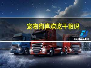 宠物狗喜欢吃干粮吗