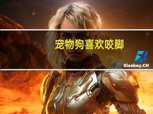 宠物狗喜欢咬脚