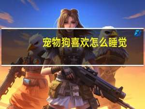 宠物狗喜欢怎么睡觉