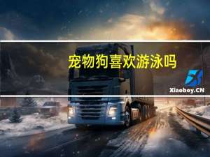 宠物狗喜欢游泳吗