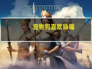 宠物狗喜欢舔嘴