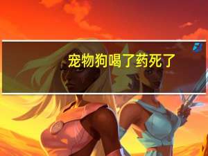 宠物狗喝了药死了