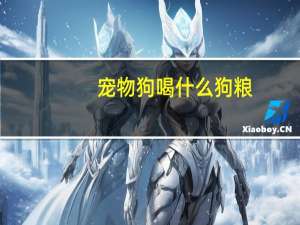 宠物狗喝什么狗粮