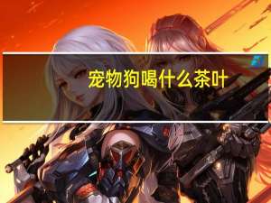 宠物狗喝什么茶叶