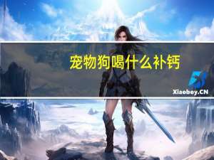 宠物狗喝什么补钙