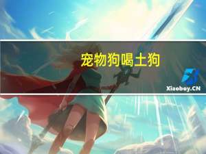 宠物狗喝土狗