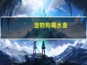 宠物狗喝水壸