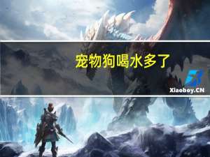 宠物狗喝水多了