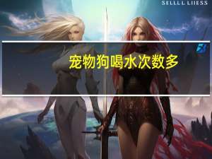 宠物狗喝水次数多