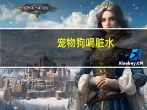 宠物狗喝脏水