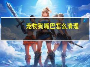 宠物狗嘴巴怎么清理
