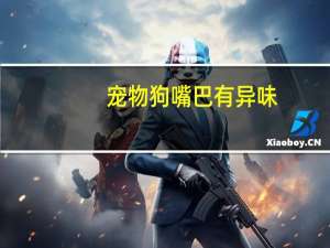 宠物狗嘴巴有异味