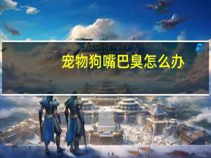 宠物狗嘴巴臭怎么办