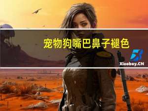 宠物狗嘴巴鼻子褪色