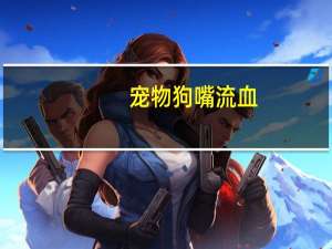 宠物狗嘴流血