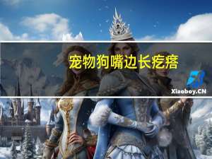 宠物狗嘴边长疙瘩