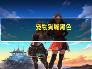宠物狗嘴黑色