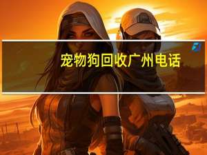 宠物狗回收广州电话