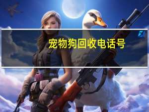 宠物狗回收电话号