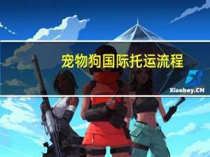 宠物狗国际托运流程