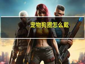 宠物狗圈怎么戴
