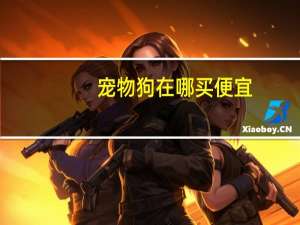 宠物狗在哪买便宜