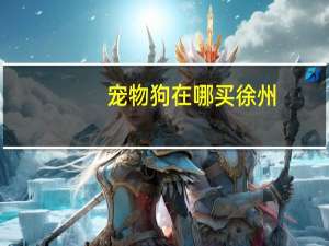宠物狗在哪买徐州