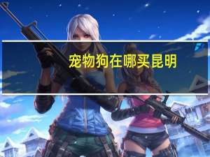 宠物狗在哪买昆明