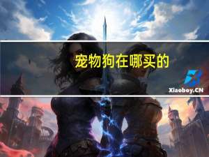 宠物狗在哪买的