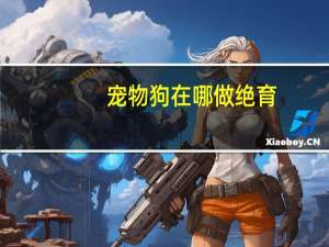 宠物狗在哪做绝育