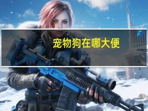 宠物狗在哪大便