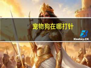 宠物狗在哪打针